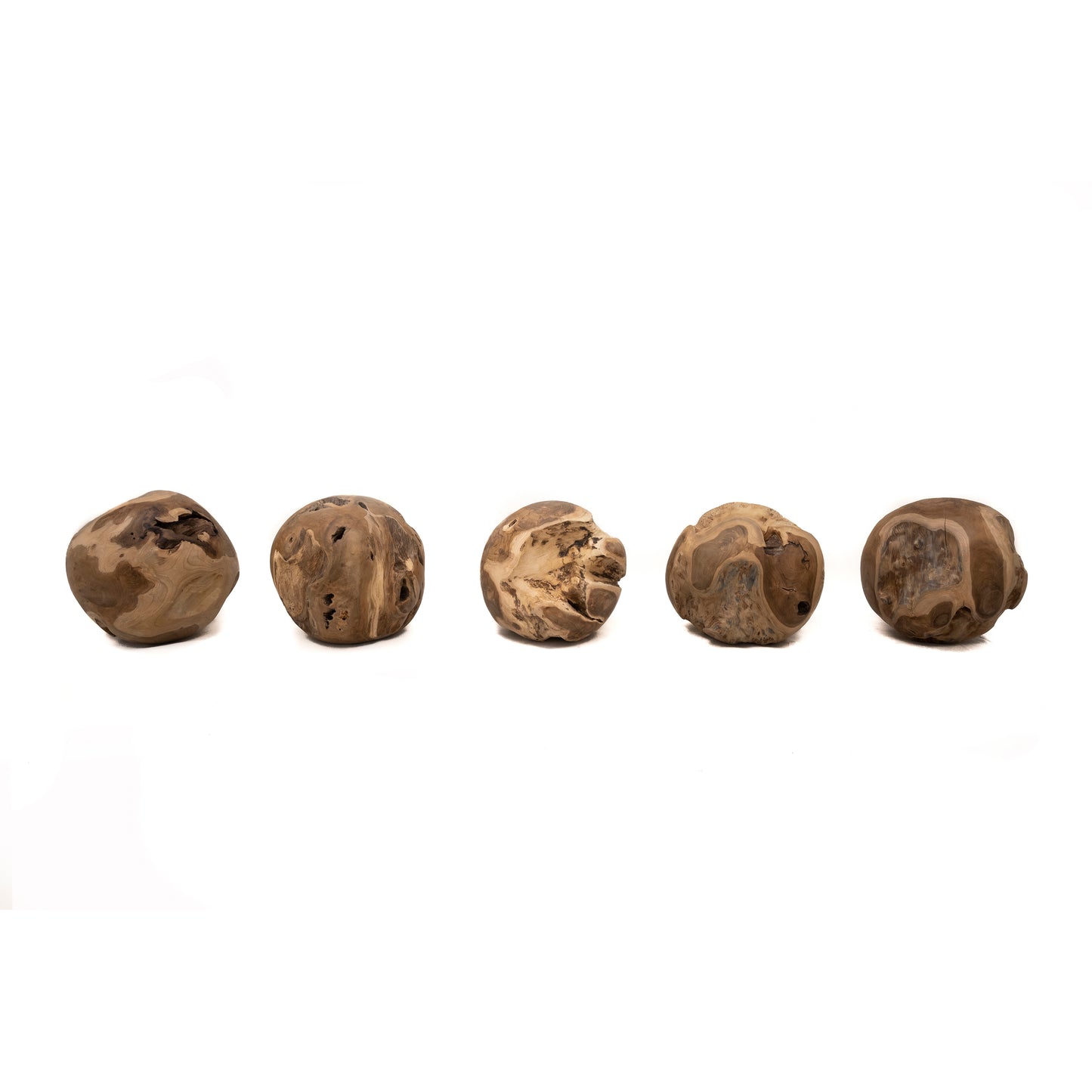 Teak Root Ball Sculpture