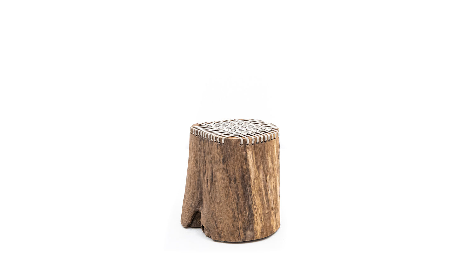 Hollow Teak Stump