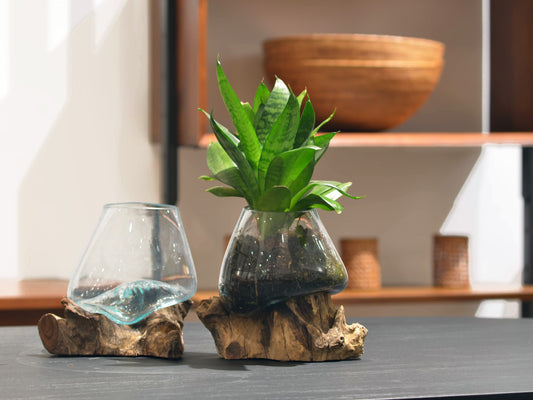 Molten Glass & Wood Terrarium