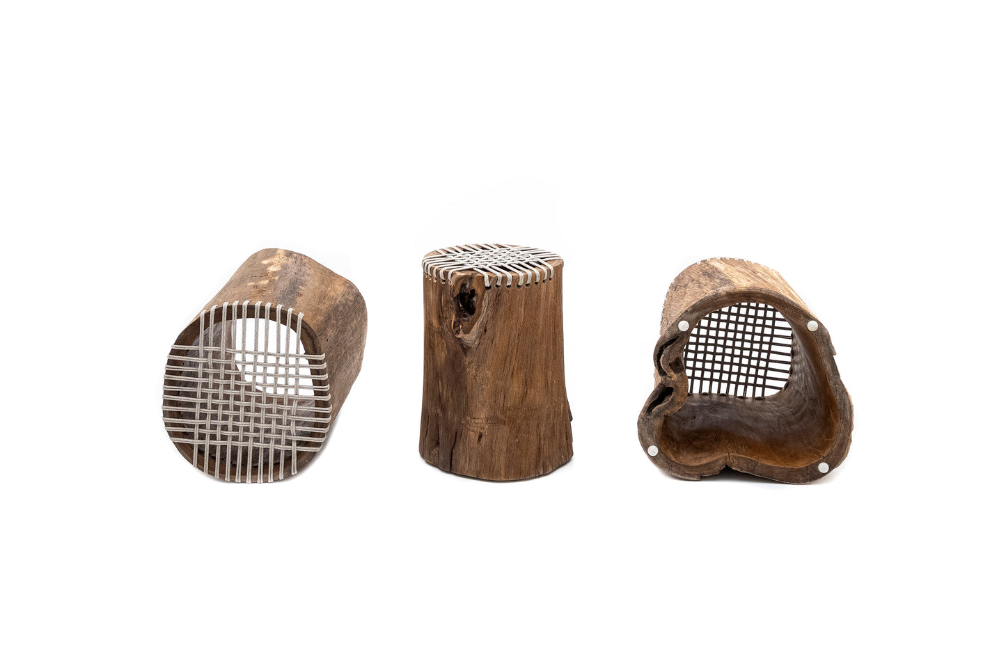 Hollow Teak Stump