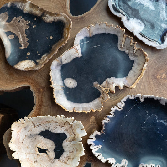Petrified Wood Trays