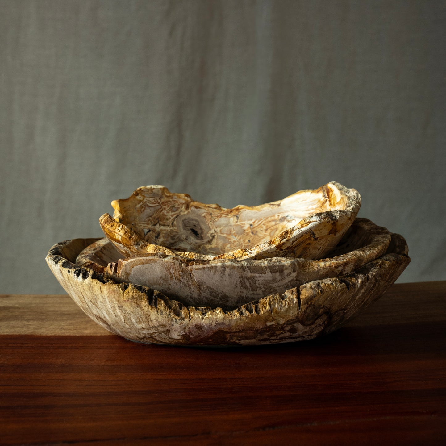 Petrified Wood Bowls, Oval