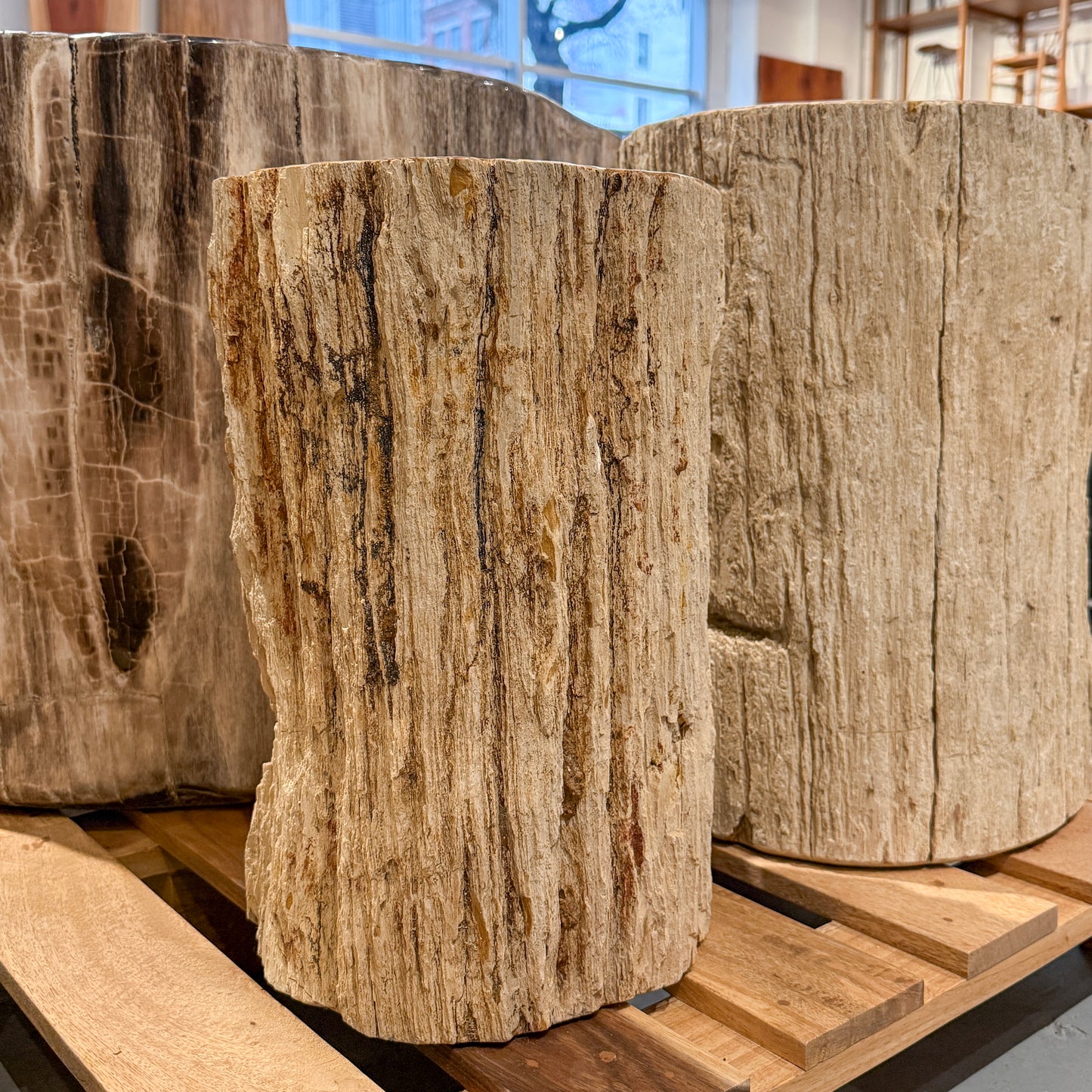 Petrified Wood Stump