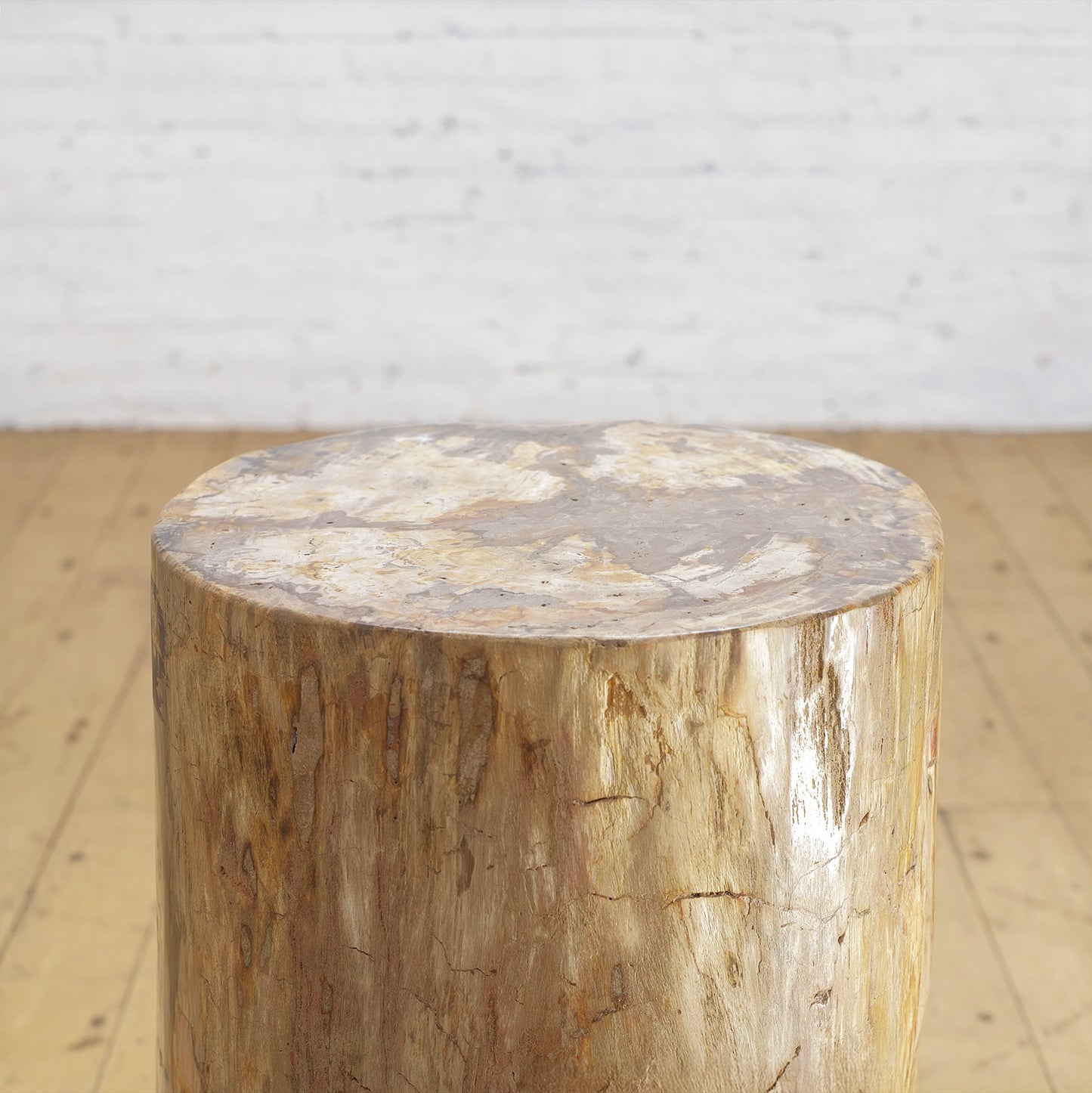 Petrified Wood Stump