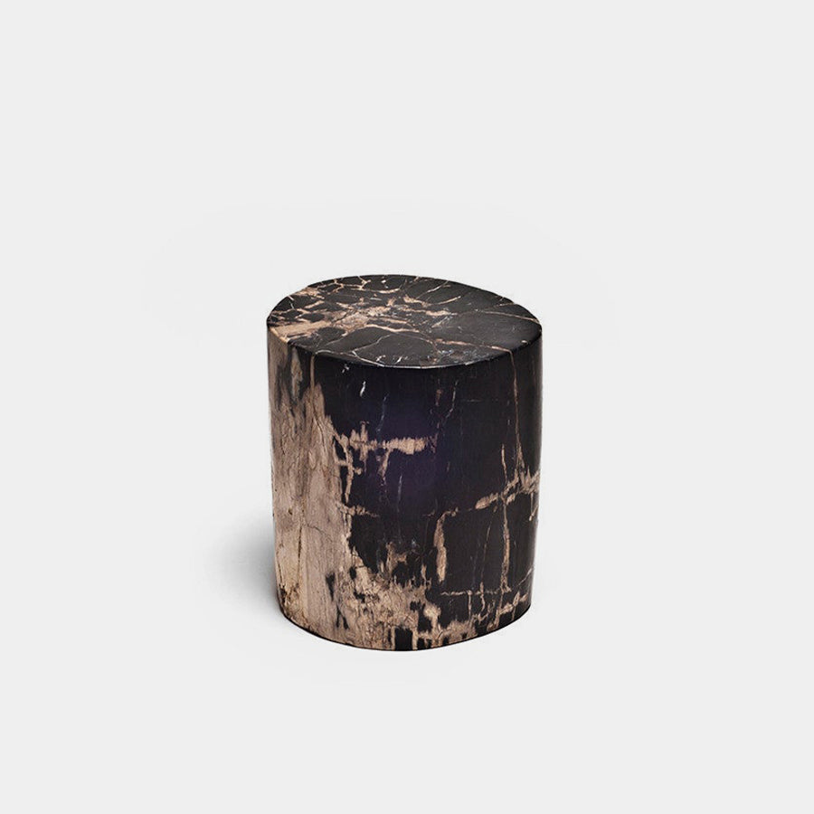 Petrified Wood Stump