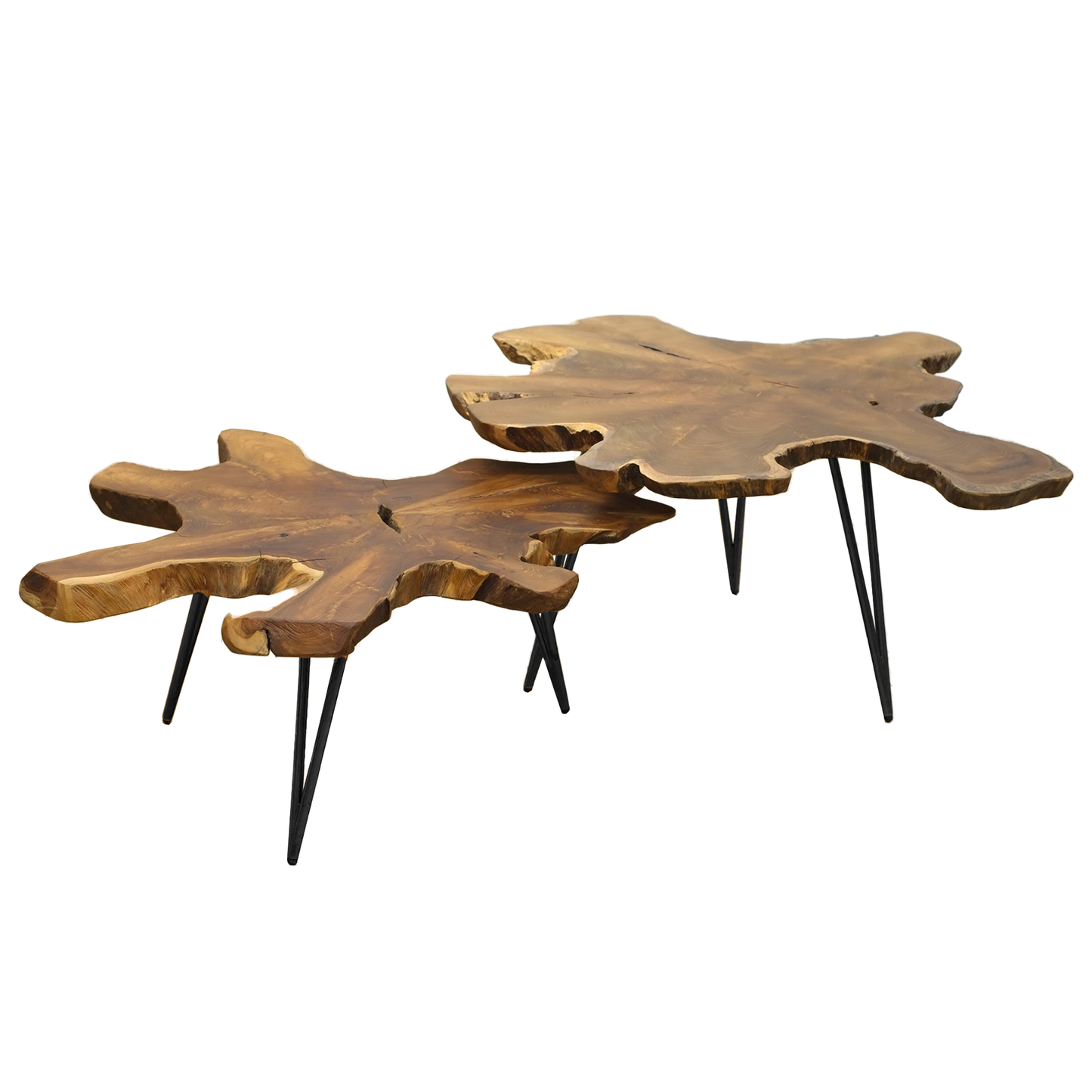 Root Slab Coffee Table