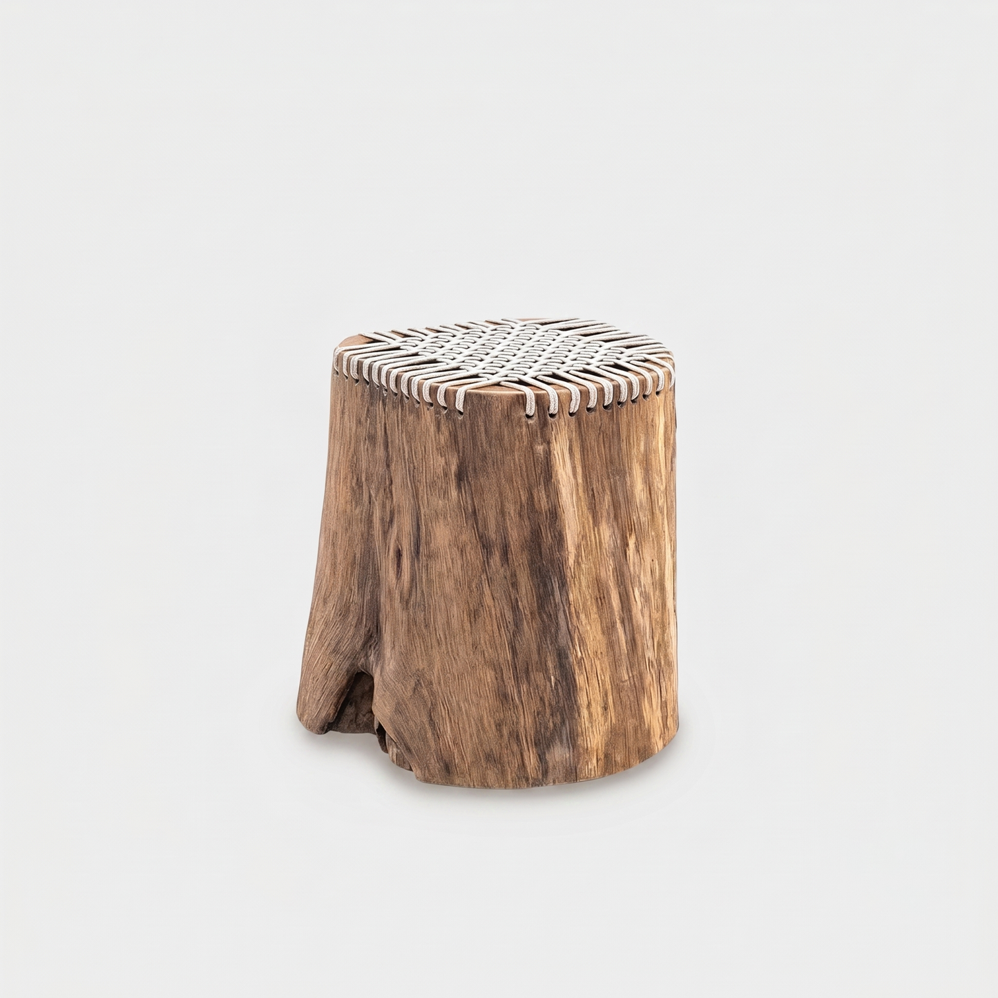 Hollow Teak Stump