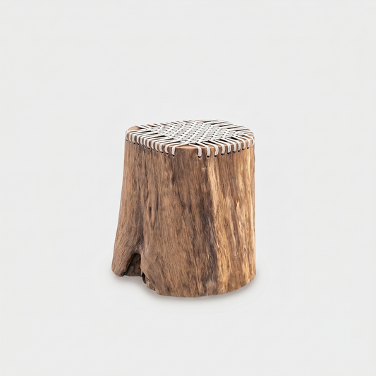 Hollow Teak Stump