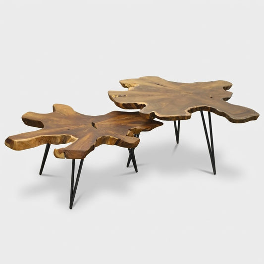 Root Slab Coffee Table